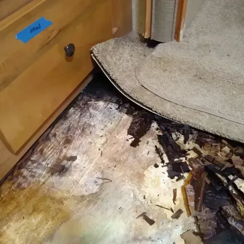 Wood Floor Water Damage in Chicago Loop, IL